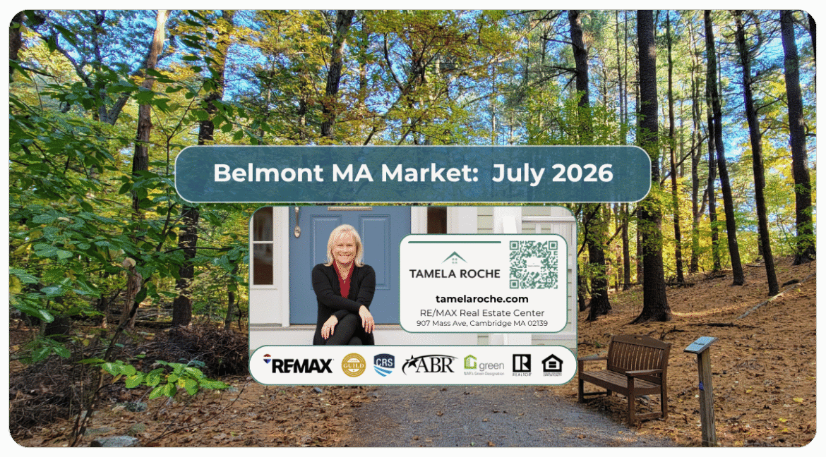 Image titled "Belmont MA Market July 2026" and a photo of a nature reserve in Belmont with trees and a bench.