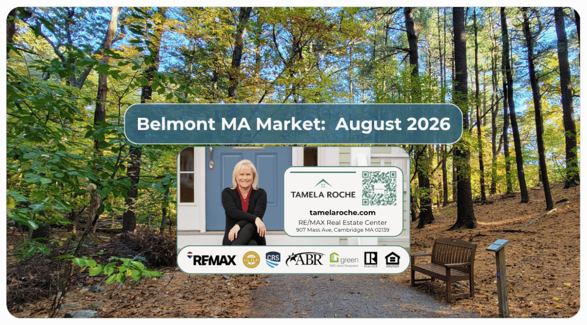 Image titled "Belmont MA Market August 2026" and a photo of a nature reserve in Belmont with trees and a bench.