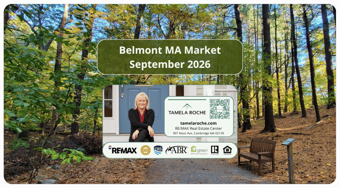 Image titled "Belmont MA Market September 2026" and a photo of a nature reserve in Belmont with trees and a bench.